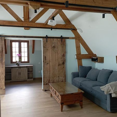 Entre Galets Apartment Sauveterre-de-Bearn Bagian luar foto
