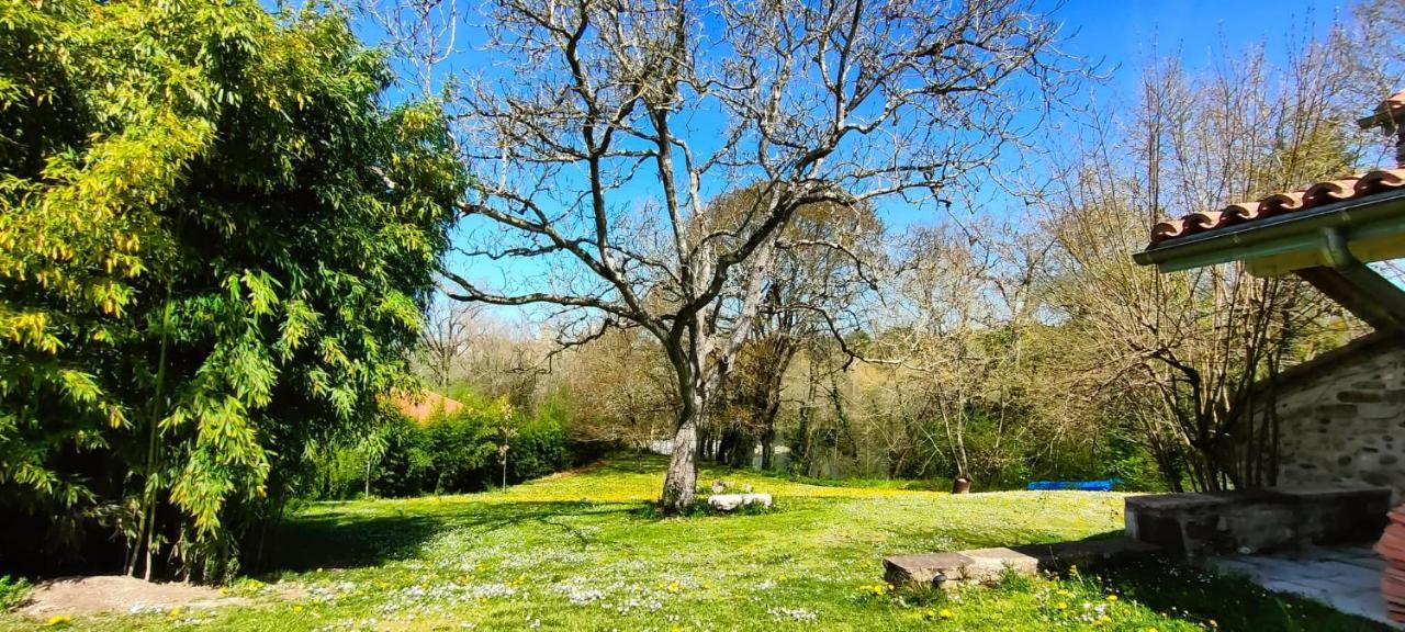 Entre Galets Apartment Sauveterre-de-Bearn Bagian luar foto